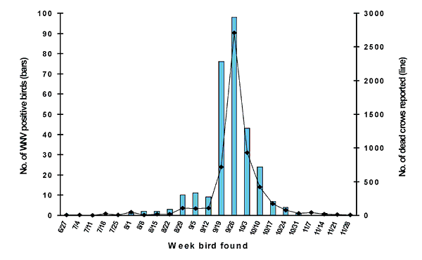 Number of dead crow sightings in New York State and number of West Nile (WN) virus-positive birds in New York State, New Jersey, and Connecticut, by week, June 27-November 30, 1999. Not included are three WN virus-positive birds in New York and New Jersey without definitive information on date collected.