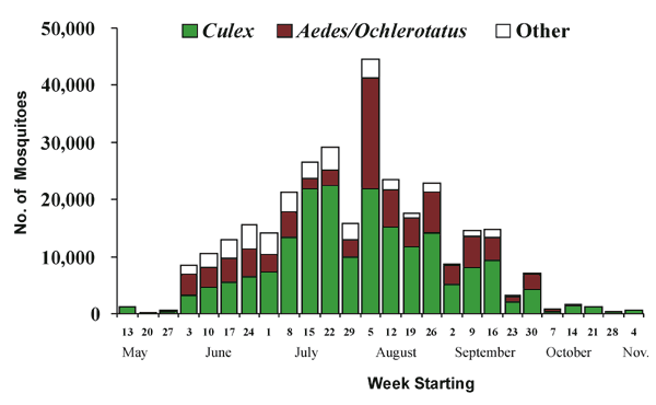 Weekly numbers of Culex, Aedes (or Ochlerotatus), and other genera submitted for testing by local health departments, New York, 2000.