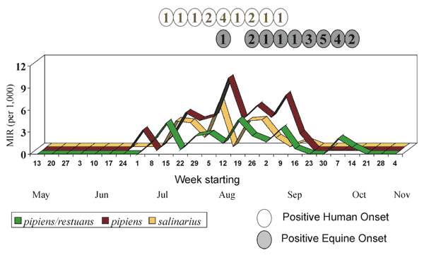 Seasonal fluctuations of minimum infection ratios (MIRs) for dominant Culex species (or combined species) and their temporal association with onsets of confirmed human or equine cases, New York, 2000.