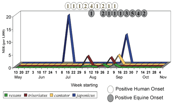 Seasonal fluctuations of minimum infection ratios (MIRs) for dominant Aedes or Ochlerotatus species and their temporal association with onsets of confirmed human or equine cases, New York, 2000.