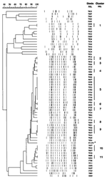 Thumbnail of Computer-generated lane maps of genomic fingerprints of Mycobacterium tuberculosis strains isolated from the patient cohort (n = 65). PvuII-digested chromosomal DNA was probed with IS6110. Clusters 1 to 11 are indicated by vertical lines at the right margin. Asterisk indicates strain 97-275 (Beijing clone, obtained from K. Kremer, RIVM/NL) for comparison. Strains 7914 through 5687 show the Beijing genotype restriction fragment-length polymorphism pattern. The molecular weight marker