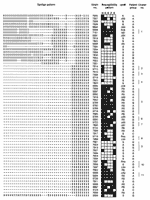 Thumbnail of Spoligotypes of the 65 strains of M. tuberculosis analyzed, drug susceptibility patterns, and type of mutation on the rpoB gene conferring rifampin resistance (rpoB). H = isoniazid; R = rifampin; E = ethambutol; Z = pyrazinamide; S = streptomycin. Black fields indicate resistance; blank ones susceptibility. S = wild type (RMPS); mutations (RMPR): DS1; DS2; DS3; DS4; DS5; R2; R4a; R4b; R5; ND = not done. Group A = nonresponders; Group B = new cases; and Group C = relapsed cases.