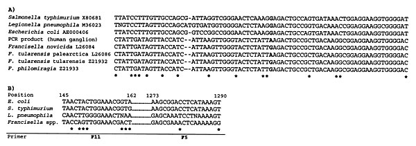 A) Sequence alignment of a 75-nt fragment of the 16S rRNA gene of different bacterial species (nucleotide position 1113 to 1188 as for Escherichia coli). The signature nucleotide (nt 1153), which allows differentiation between F. tularensis palaearctica and the other members of the Francisella genus, is set in bold face. B) Sequence comparison of the regions corresponding to F11- and F5-specific Francisella tularensis primers between F. tularensis and other bacterial species. Asterisks depict Fr