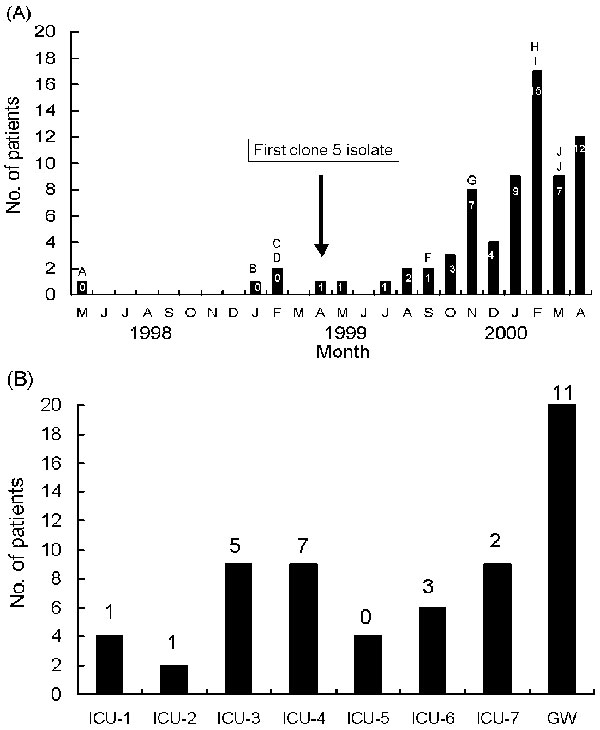 (A) Distribution of pulsed-field gel electrophoresis (PFGE) profiles (pulsotypes) of pandrug-resistant Acinetobacter baumannii (PDRAB) isolates, May 1998–April 2000. Number within each bar indicates number of isolates with pulsotype E (clone 5). Letter above indicated bar denotes isolates exhibiting pulsotype (s) other than pulsotype E. (B) Distribution of pulsotype E in seven intensive-care units (ICU-1 to ICU-7) and 13 general wards (GW). Number above each bar indicates number of isolates with pulsosubtype E2.