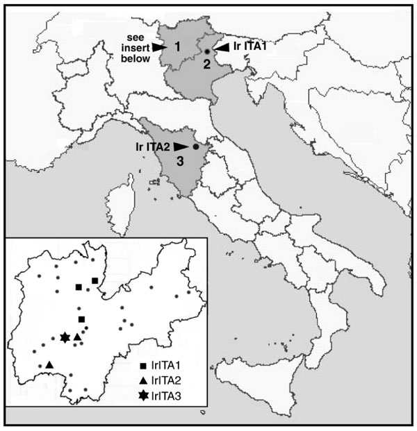 Location of Ixodes ricinus collection sites and detection of spotted fever group rickettsiae. 1). Trentino Province. Dots represent places where ticks were not found to have rickettsiae; different shapes represent the places where IrITA1 (Terlago, Denno, Vervó), IrITA2 (Molina di Ledro, Drena) and IrITA3 (Drena) were detected. In Feltre (2; Veneto Region) only IrITA1 was detected, while in Parco Nazionale delle Foreste Casentinesi (3; Toscana Region) only IrITA2 was detected.