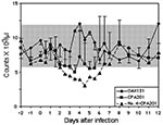 Thumbnail of Mean leukocyte counts in horses infected with virus strains CPA201 and OAX131. Bars indicate standard deviations. Data for horse no. 4, in whom severe neurologic disease developed after infection with strain CPA201, are shown individually. Bars indicate standard deviations; shaded box indicates approximate normal values.