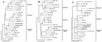 Thumbnail of Phylogenetic relationship of the S, M, and L RNA segments of Rift Valley fever viruses. Maximum likelihood analysis of the nucleotide (nt) sequence differences among a 661-nt region of S RNA segment (Panel A), a 708-nt region of the M RNA segment (Panel B), and a 176-nt region of the L RNA segment (Panel C) of RVF viruses was performed by using PAUP4.0b10 (Sinauer Associates Inc., Sunderland, MA).