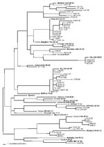 Thumbnail of Genetic relationship between measles viruses isolated in the United States in 1997–2001 and the reference strains established by the World Health Organization (WHO) (20). Phylogenetic tree was based on the nucleotide sequences coding for the COOH-terminus of the nucleoprotein. Strain abbreviations are given in Table 1. Reference strains as established by WHO are shown in bold and designated by their genotype name. The length of the horizontal scale bar represents one nucleotide change.