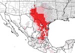 Thumbnail of Genetic Algorithm for Rule-set Prediction-generated ecologic niche model, predicting distribution of Triatoma gerstaeckeri. Small circles show actual collection sites. Area in dark red is where high certainty exists for the specific niche of the species. The area in light red is the zone of moderate certainty, and the area in gray is for low certainty.