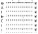 Thumbnail of Amino acid alignment from representative isolates in this study with other Hepatitis E virus strains. Amino acid sequences from BCN3–BCN8, BCN10–BCN13, and BCN16 are identical to BCN2. Dots indicate sequence identities.