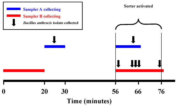 Bacillus anthracis air sampling: Slit Sampler Set A collected air samples for 10 minutes before and 10 min after the mail sorter was turned on. Slit Sampler Set B collected for 20 min during each period. Total air-flow rate, 33 L/min in both samplers.