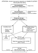 Thumbnail of Diagrammatic tracking of an environmental sample through the various units and laboratories as it was processed and tested for anthrax at the New York City Bioterrorism Response Laboratory. The first level of the diagram corresponds to the first floor or the sample intake area. Samples were moved via an elevator to the upper floors of the facility, where they were processed and tested. The final destination of all samples was the storage area. Storage was also a locked and guarded forensic evidence room, and samples released from this area after testing negative for Bacillus anthracis were released to the New York Police Department for criminal investigation, return, or disposal.