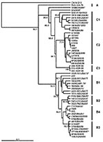Thumbnail of An overview of the genetic relationships of human enterovirus 71 (HEV71) strains isolated from 1970 through 2002. Dendrogram showing the genetic relationships among 53 HEV71 strains based on the alignment of the complete VP4 gene sequence (nucleotide positions 744–950). Details of the HEV71 strains included in the dendrogram are provided in Appendix Tables 1 and 2. Branch lengths are proportional to the number of nucleotide differences. The bootstrap values in 1,000 pseudoreplicates