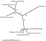 Thumbnail of An overview of the genetic relationships of human enterovirus 71 (HEV71) strains isolated from 1970 through 2002. Unrooted cladogram shows the genogroup relationships of HEV71 based on an alignment of the partial VP4 gene (nucleotide positions 744–950) consensus sequences for genogroups B1, B2, B3, B4, C1, C2, and C3. The complete VP4 gene sequence of the prototype strain BrCr-CA-70 (30) was used as an outgroup in the analysis. The bootstrap values in 1,000 pseudoreplicates for majo