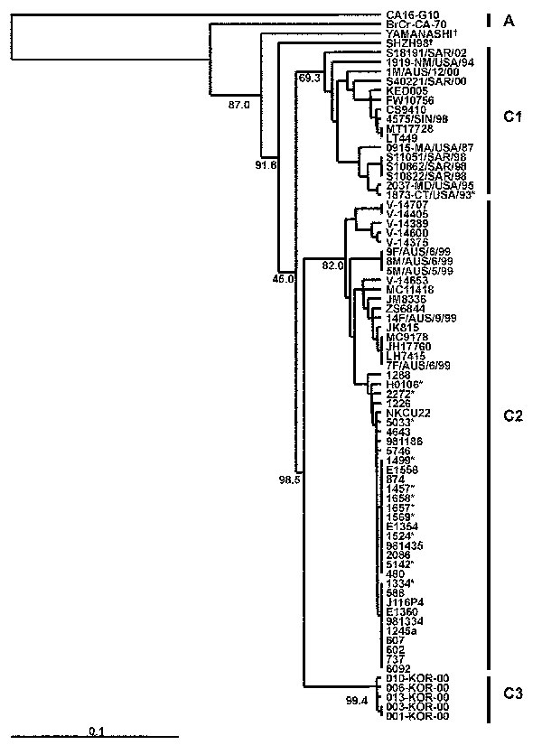 Phylogenetic relationships of human enterovirus 71 (HEV71) strains belonging to genogroup C (21). Dendrogram shows the genetic relationships among 74 HEV71 strains belonging to genogroup C, based on the alignment of the complete VP4 gene sequence (nucleotide positions 744–950). Details of the HEV71 strains included in the dendrogram are provided in Tables 2 and 3. Branch lengths are proportional to the number of nucleotide differences. The bootstrap values in 1,000 pseudoreplicates for major lin