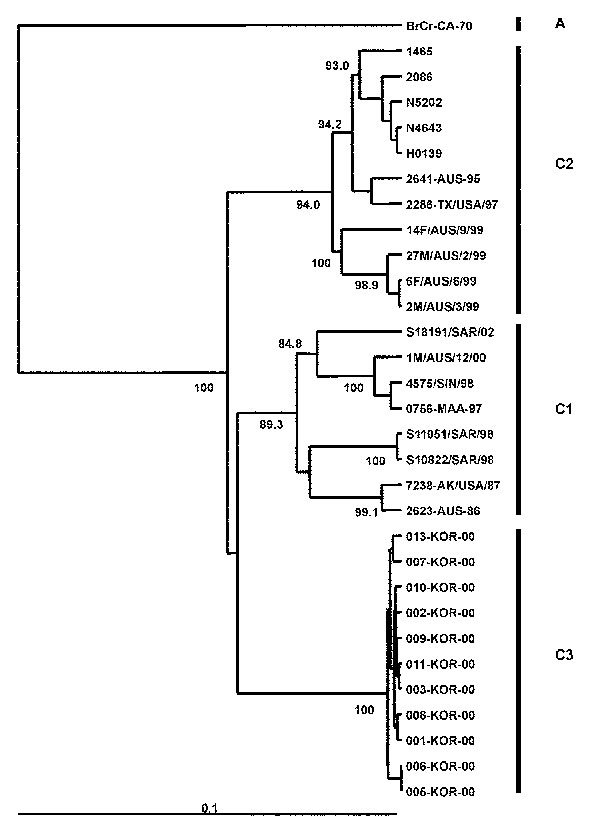 Phylogenetic relationships of human enterovirus 71 (HEV71) strains belonging to genogroup C (21). Dendrogram shows the genetic relationships among 30 HEV71 strains belonging to genogroup C, based on the alignment of a partial VP1 (nucleotide positions 2442–3281) or complete VP1 (nucleotide positions 2442–3332) gene sequences. Details of the HEV71 strains included in the dendrogram are provided in Tables 2 and 3. Branch lengths are proportional to the number of nucleotide differences. The bootstr