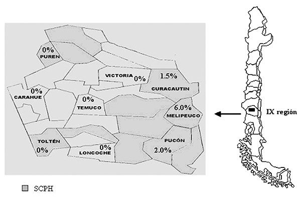 Geographic IX Region, Chile, and hantavirus seroprevalence in the tested communities of the IX Region. SCPH, states for; HCPS, Hantavirus Cardiopulmonary Syndrome.