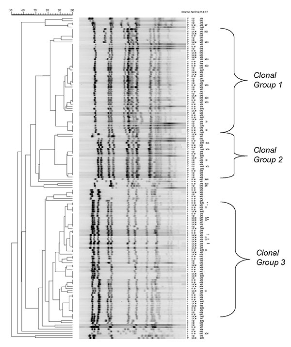 Pulsed-field gel electrophoresis patterns of meningococcal serogroup C strains isolated from persons &lt;15 years of age (panel A), persons 15–24 years (panel B), and adults &gt;25 years of age (panel C) during 1992–1999. Culture date and sequence type are listed to the right of the dendrogram.