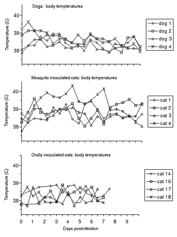 Body temperatures during the course of experimental West Nile virus infection. Reference ranges for clinically normal dogs and cats were considered to be 38.3°C–39.5°C and 38.0°C–39.2°C, respectively.