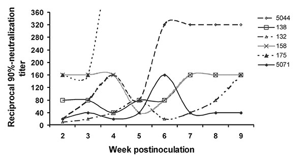 West Nile virus-neutralizing antibody response of six mosquito-exposed Rock Doves (pigeons). Rock Dove 175 reached a titer of 1:640 at 4 weeks postinoculation and then died of other causes.