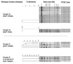 Comparison of AscI pulsed-field gel electrophoresis (PFGE) patterns for isolates from selected ribotype clusters. AscI PFGE types are shown for two clusters representing epidemiologically confirmed outbreaks (A and G), one ribotype cluster that was further discriminated by PFGE typing (C), and one cluster with overlapping PFGE and ribotype clusters (E). Isolates with <3 bands difference are shown in bold. The percent similarity does not reflect true phylogenetic distance.