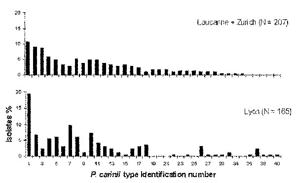 Frequency distribution of Pneumocystis carinii types observed in different locations. Each type, co-infecting or not, was considered as one isolate.