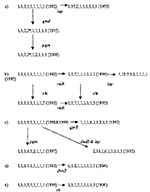 Thumbnail of Five groups of related sequence types of Vibrio cholerae O139.