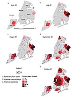 Thumbnail of Dead bird clusters, West Nile virus (WNV)-positive dead birds, human cases, and mosquito traps, New York City, 2001. The shading represents the cumulative frequency of dead bird clusters in each census tract as of the date of analysis. Cumulative WNV-positive birds and mosquitoes are displayed on the basis of their date of collection; human cases are shown on the basis of their date of onset of illness.