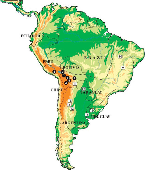 Location of the collection sites of individual Triatoma infestans analyzed in this study. Dotted lines indicate T. infestans distribution during the 1980s. Full circles indicate Andean samples. Open squares indicate non-Andean samples. (See number identification of each population in Tables 1–3.)