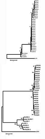 Thumbnail of Phylogenetic tree of the human metapneumovirus a) L gene and b) F gene. Viruses detected in Hong Kong are prefixed HK, and the sequences have been deposited in GenBank under accession numbers AY294849 through to AY294870. Other viral sequences were obtained from GenBank. Abbreviations used: APV, avian pneumovirus; NL, the Netherlands.
