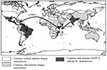 Thumbnail of Global spread of dengue virus 3 (DENV-3), subtype III, which has been continuously circulating in the Indian subcontinent from the 1960s to the present. The virus was first isolated from East Africa in 1985 in Mozambique and subsequently from Kenya (1991) and Somalia (1993) (32,33). DENV-3 subtype III was first detected in the American continent in 1994 (Nicaragua and Panama) and the virus has subsequently spread through most of Latin America (13,14,16,29,30). The arrows depict the