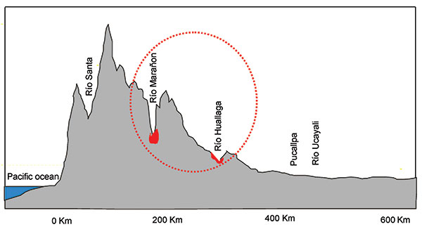 Schematic topographic cross-section through the southern Peruvian Amazon. Areas in red indicate river basins where yellow fever virus is endemic.