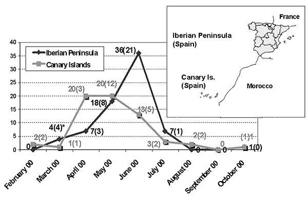 Temporal distribution of the Spanish echovirus 13 isolates during 2000. The isolates were grouped attending to their geographic origin as from the Iberian Peninsula and from the Canary Islands. The number of viruses included in the study (in parentheses) as well as the total isolates per month are shown. *Includes three sequences obtained directly from cerebrospinal fluid.