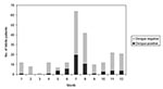 Thumbnail of Distribution of results of dengue serologic testing by months.