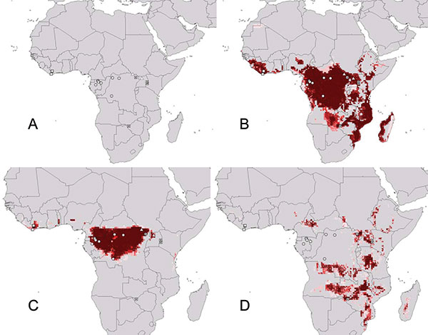 Summary of known and predicted geography of filoviruses in Africa. (A) Known occurrence points of filovirus hemorrhagic fevers (HFs) identified by virus species. (B) Geographic projection of ecologic niche model based on all known filovirus disease occurrences in Africa. (C) Geographic projection of ecologic niche model based on all known Ebola HF occurrences (i.e., eliminating Marburg HF occurrences). (D) Geographic projection of ecologic niche model based on all known occurrences of Marburg HF