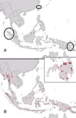 Thumbnail of Projection of filovirus ecologic niche models onto southeastern Asia and the Philippines to assess the degree to which possible Philippine distributional areas are predictable on the basis of the ecologic characteristics of African filovirus hemorrhagic fever (HF) occurrences. (A) Projection of model for Marburg HF occurrences (Figure 1D) to southeastern Asia. (B) Projection of model for all filovirus disease occurrences (Figure 1B) to southeastern Asia (the projection of models for