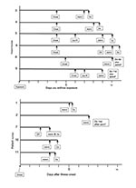 Thumbnail of Timeline to presumptive anthrax diagnosis, 11 patients with inhalational anthrax, 2001, United States. Abbreviations: Dx, diagnosis; OutPt, outpatient visit followed by discharge home; ER, emergency room visit followed by discharge home. *Diagnosis delayed—initial blood cultures were negative in three patients who received antibiotic therapy before culture specimens were collected, requiring use of special diagnostic tests. For patients 1–10, case numbers correspond to those in repo