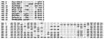 Thumbnail of Alignment of the amino acid and corresponding nucleotide sequence of each VR1 family “prototype.”