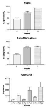 Thumbnail of Progression of Pneumocystis carinii pneumonia measured by enumeration of organisms and real-time PCR of DNA extracted from lung homogenates and oral swabs. Panel A: Log P. carinii nuclei per mL of homogenized rat lung assessed by microscopic enumeration of lung homogenates; 4 wk vs. 7 wk, p &lt; 0.001; 4 wk vs. 10 wk, p &lt; 0.001; 7 wk vs. 10 wk, p &lt; 0.001. Panel B: Log-transformed copies of P. carinii-specific DNA (mtLSU) per mL of lung homogenate; 4 wk vs. 7 wk, p &lt; 0.001;