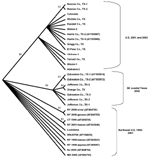 Thumbnail of Cladogram based on maximum parsimony analysis comparing a 2,004-nucleotide sequence of 22 West Nile virus isolates collected during 2001 and 2002 with a homologous region of WN virus isolates collected in 1999, 2000, and 2001 from the northeastern United States. Numbers indicate bootstrap confidence estimates based on 500 replicates for clades supported to the right. Numbers in parenthesis represent GenBank accession numbers.
