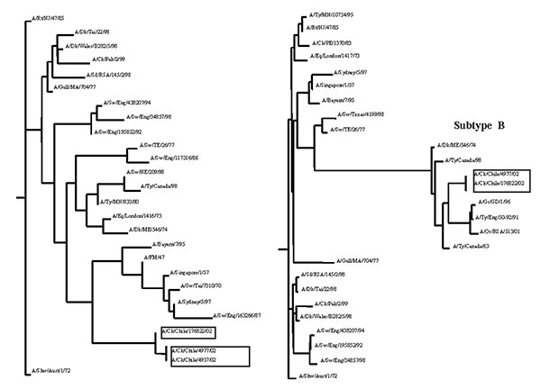 Unrooted phylograms of partial nucleotide sequences of the PB2 and NS genes of selected influenza A viruses including those from poultry in Chile in 2002 (indicated in boxes). Nucleotides 14–188 of PB2and 50–481 of NS were used for the analyses. The lengths of the horizontal lines are proportional to the number of nucleotide differences.