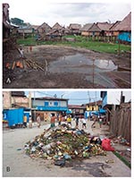 Thumbnail of Typical views of the residential areas of Belen, Iquitos, Peru. A. Houses near the river edge are built on stilts. B. Conditions abound for the proliferation of peridomestic rats in the same places where people live and play. This view is adjacent to the major market area of Belen, where Rattus spp. are commonly observed, even during the day in the middle of commercial activities.