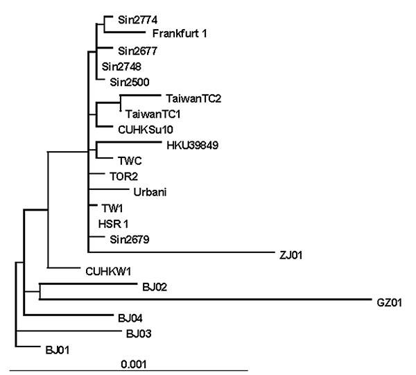 Phylogenetic tree obtained by applying PAUP* (maximum-likelihood methods using the p-distance model) applied to complete genome sequences of the severe acute respiratory syndrome–associated coronavirus (SARS-CoV) HSR1 strain and the 21 other SARS-CoV isolates.