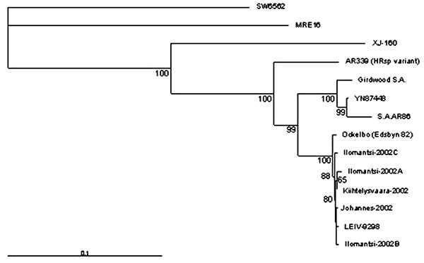 Phylogenetic tree is based on the nucleotide sequences of 1,178–1,281 bp from nsP3 and nsP4 region, nucleotides 5,258-6,510; the genome position is given according to the published sequence of the strain AR339 (HRsp variant) (2). The tree was constructed by using Neighbor-joining algorithms (NEIGHBOR). 5,000 bootstrap replicates were calculated. Only those bootstrap support values that exceed 50% are shown. The following sequences available in GenBank were included into the comparison: AR339 (HR