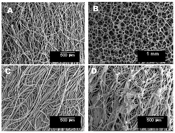 Environmental scanning electron micrographs of swab material: cotton (A), macrofoam (B), rayon (C), polyester (D).