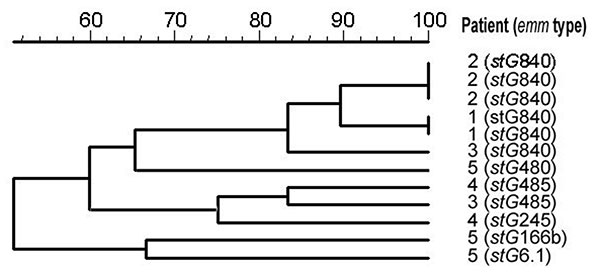 Dendrogram of pulsed-field gel electrophoresis analysis of isolates from patients with recurrent bacteremia. “Patient” refers to numbers from Table 3.