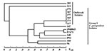 Thumbnail of Relatedness of Candida parapsilosis clinical isolates. Dendrogram generated from SABs computed for pairwise comparisons of the 14 C. parapsilosis test isolates and the reference strain J940043 fingerprinted with Cp3-13. Note that with the exception of the six identical outbreak isolates, none of the dendrogram nodes exceed an SAB value of 0.7 for the other test isolates.