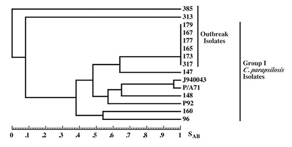 Relatedness of Candida parapsilosis clinical isolates. Dendrogram generated from SABs computed for pairwise comparisons of the 14 C. parapsilosis test isolates and the reference strain J940043 fingerprinted with Cp3-13. Note that with the exception of the six identical outbreak isolates, none of the dendrogram nodes exceed an SAB value of 0.7 for the other test isolates.