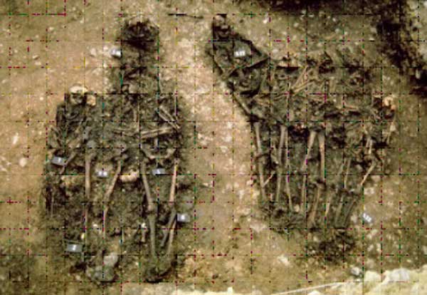 Partial view of the grave in Dreux investigated in this work, which illustrates anthropologic features of a mass grave suitable for paleomicrobiology research.