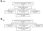 Thumbnail of Flowchart displaying the number of blood cultures eligible for evaluation and the number evaluated by investigator review, infection control professional review, and computer algorithm at A) Cook County Hospital (CCH) and B) Provident Hospital (PH), September 1, 2001–February 28, 2002, Chicago, Illinois. aAt CCH, 12 medical records were unavailable for investigator review; three positive blood cultures were not evaluated by an infection control professional; and two positive blood c